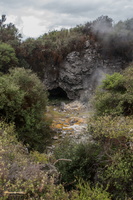 Te Puia geothermals
