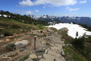 Skyline Trail from Paradise