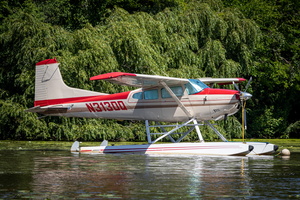 Cessna 185 N3130Q