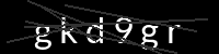 PHP Captcha for Piwigo