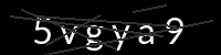 PHP Captcha for Piwigo