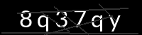 PHP Captcha for Piwigo