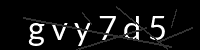 PHP Captcha for Piwigo