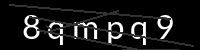 PHP Captcha for Piwigo