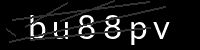 PHP Captcha for Piwigo