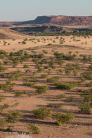 Damaraland landscape near Mowani