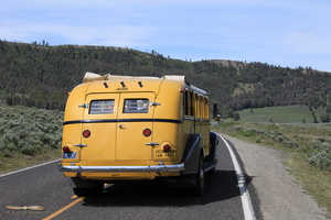 Yellowstone NP famous yellow buses