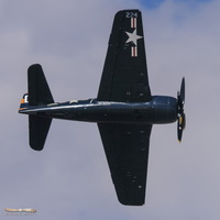 Grumman F8F-2 Bearcat "Blue Bear"