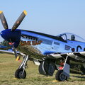 North American P-51D Mustang "Live Bait"