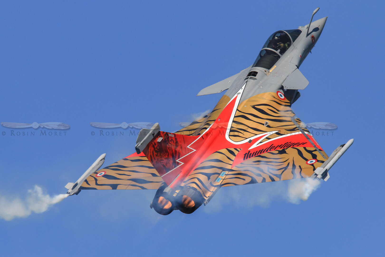French Air Force Rafale Solo Display