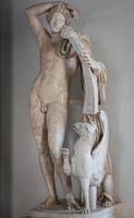 Apollo with lyra (citerado)