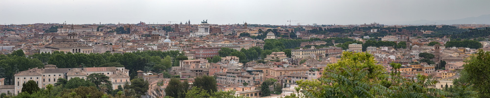 Trastevere, Navona and Forum disctricts from Janiculum