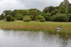 Muckross lake - Kilarney National Park