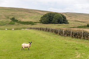 Antrim Hills