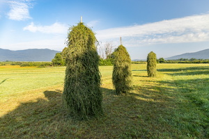 Hay stacks in Löz valley