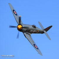 '#114 Argonaut', Hawker Sea Fury