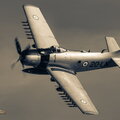 Douglas AD-4N Skyraider (monochrome)
