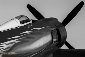 ' #232 ', Hawker Sea Fury (B&W)