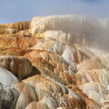 Palettte Spring, Mammoth Springs - Yellowstone National Park, Wyoming - USA - 2013