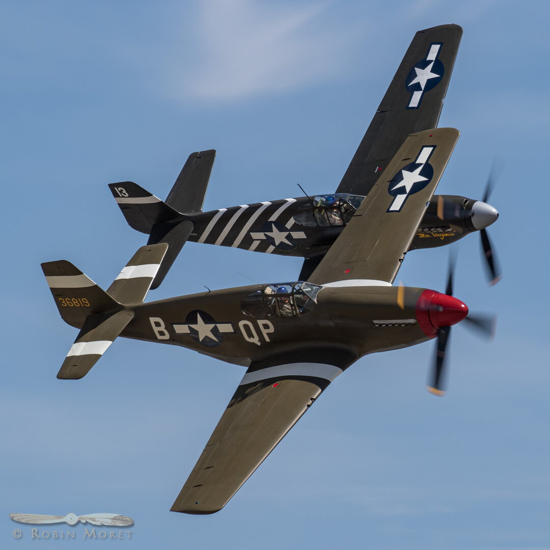 _MG_3199-Edit.jpg
