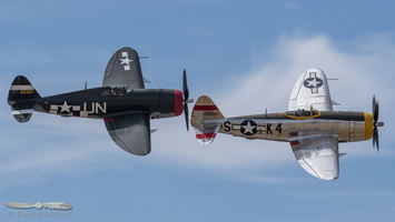 Pair of Republic P-47D Thunderbolt : Bubbletop vs Razorback