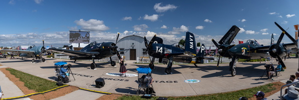 Grumman Cats at Warbirds in Review