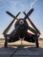 Corsair F4U-5NL, D-FCOR, 124541, Devotion
