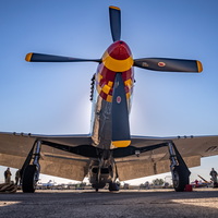 NORTH AMERICAN AVIATION P-51D, “NOOKY BOOKY”, OE-EFB, 44-74427