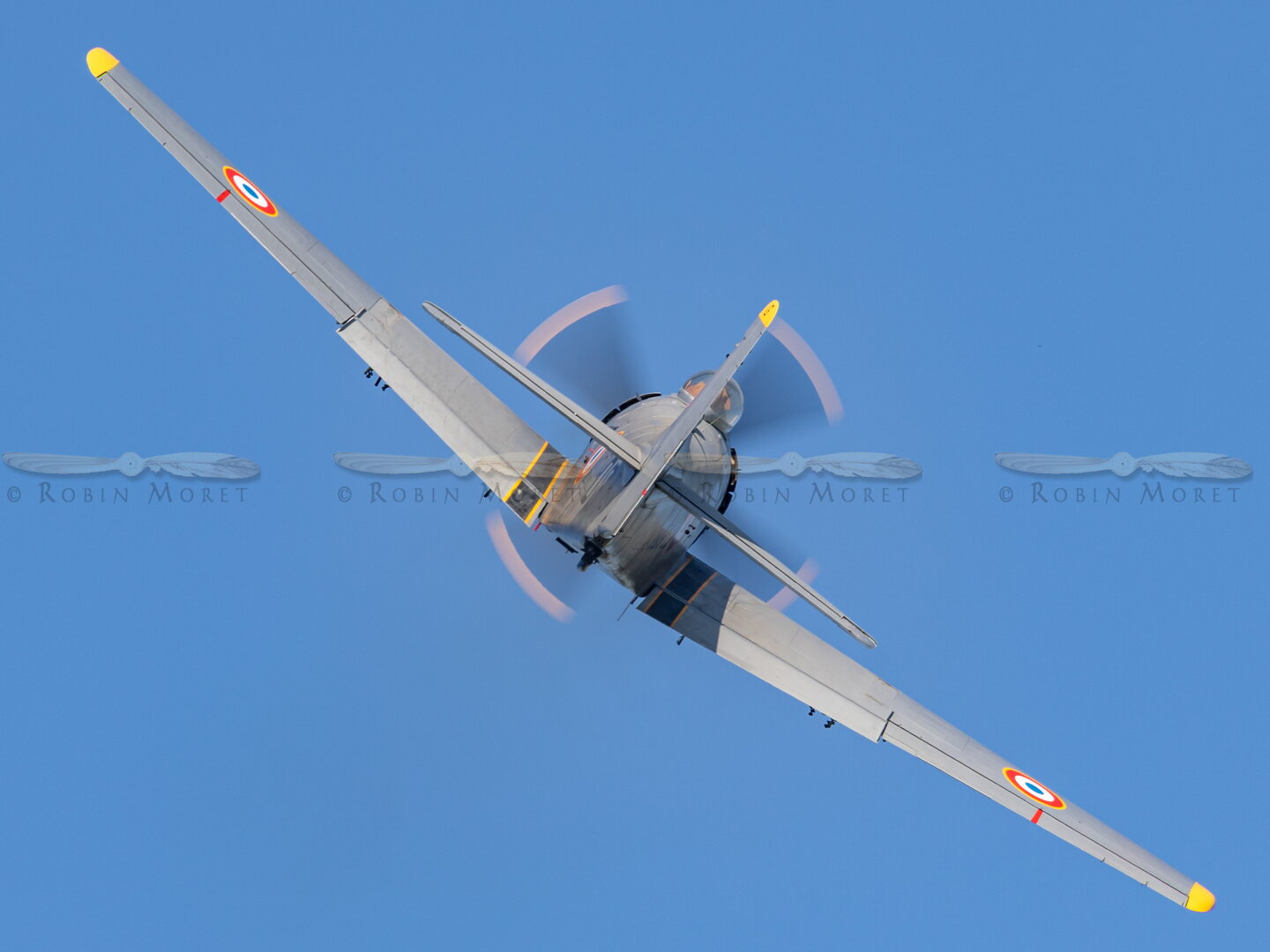 _M7_7433.jpg
