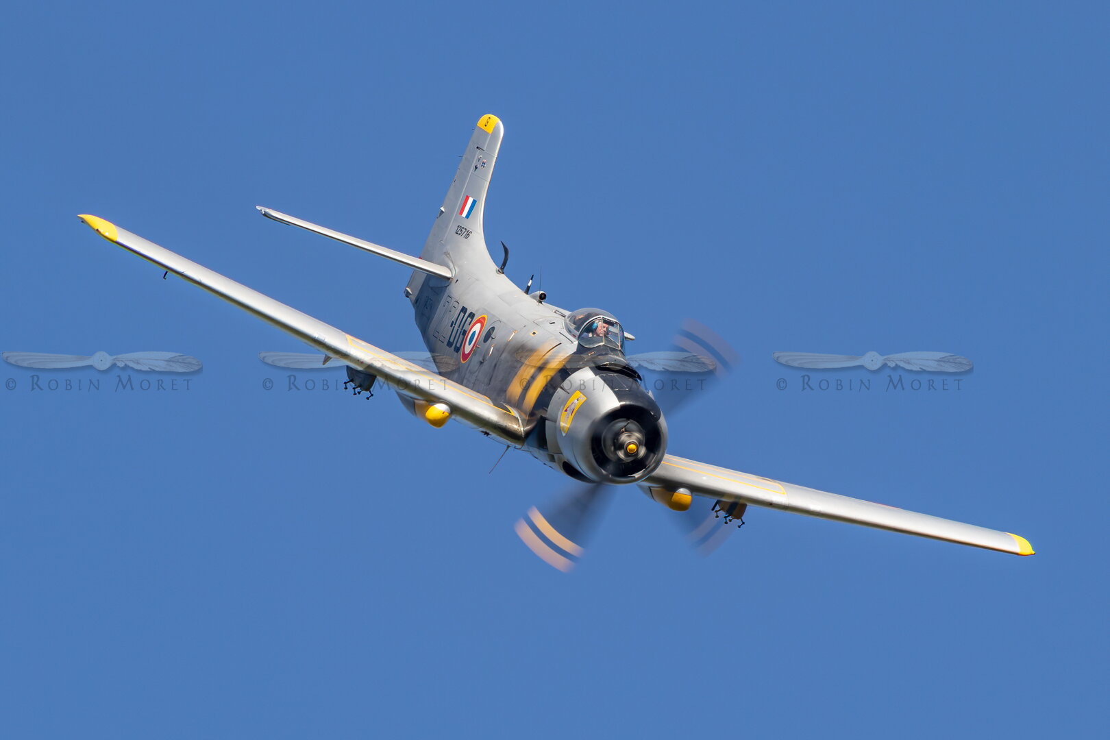 _M7_7471-Edit.jpg