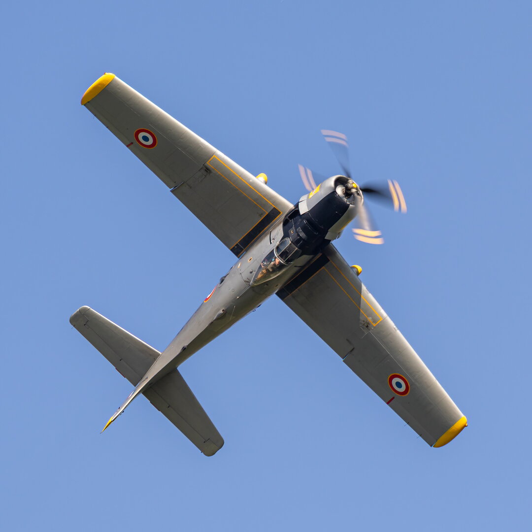 _M7_7517-Edit.jpg