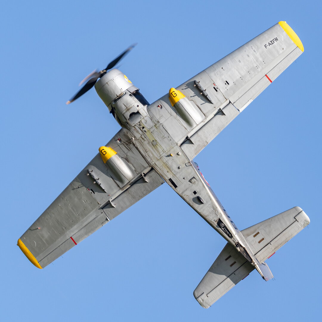 _M7_7547.jpg