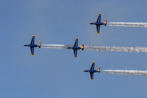 Patrouille Tranchant