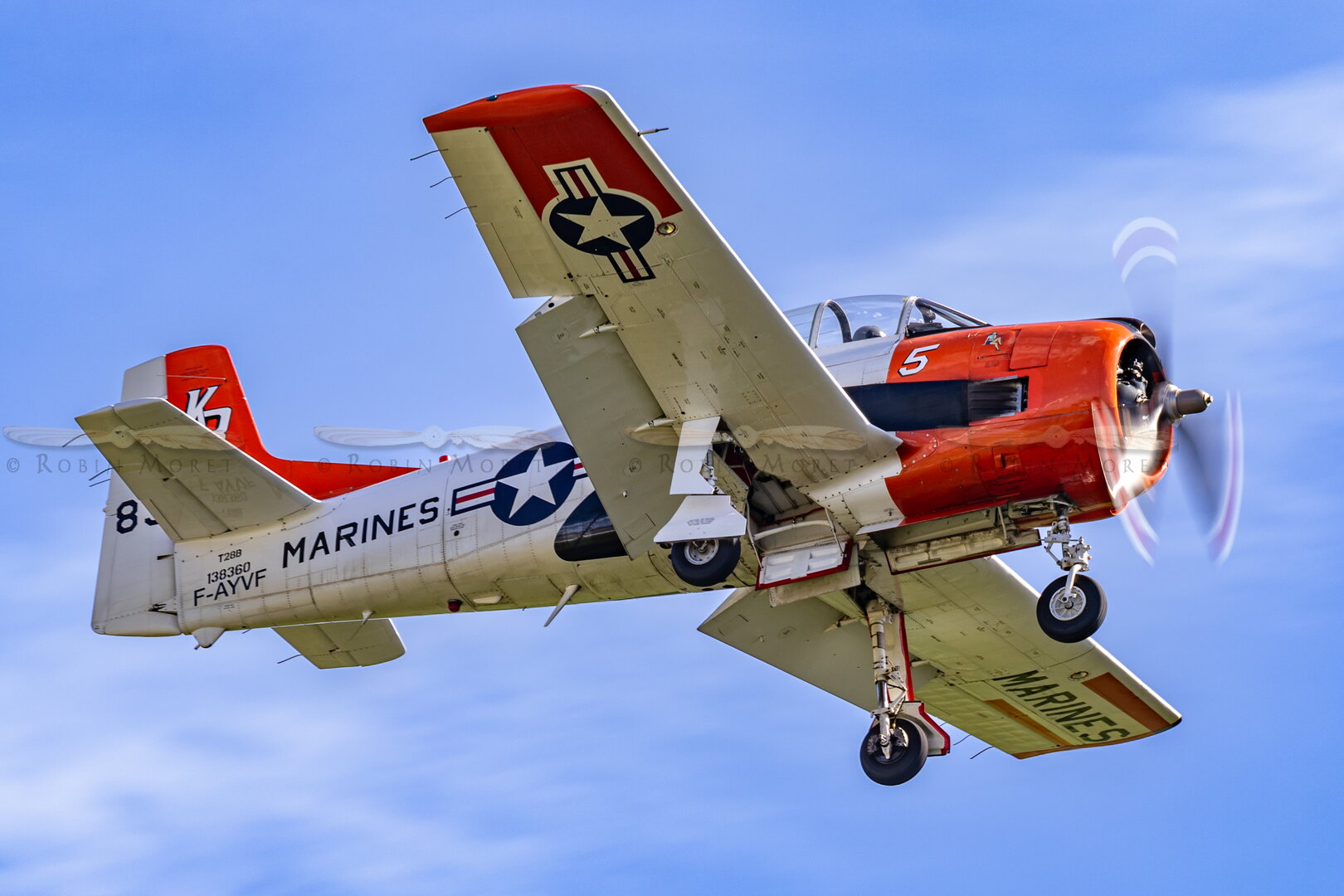 _M7_5626.jpg