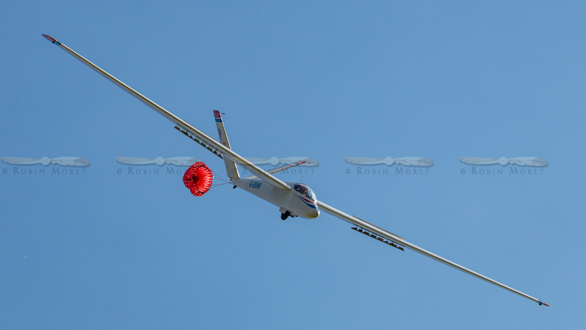 _MG_4453.jpg