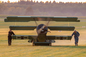  MG 8065