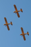 MG 8782