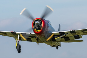 MG 9506