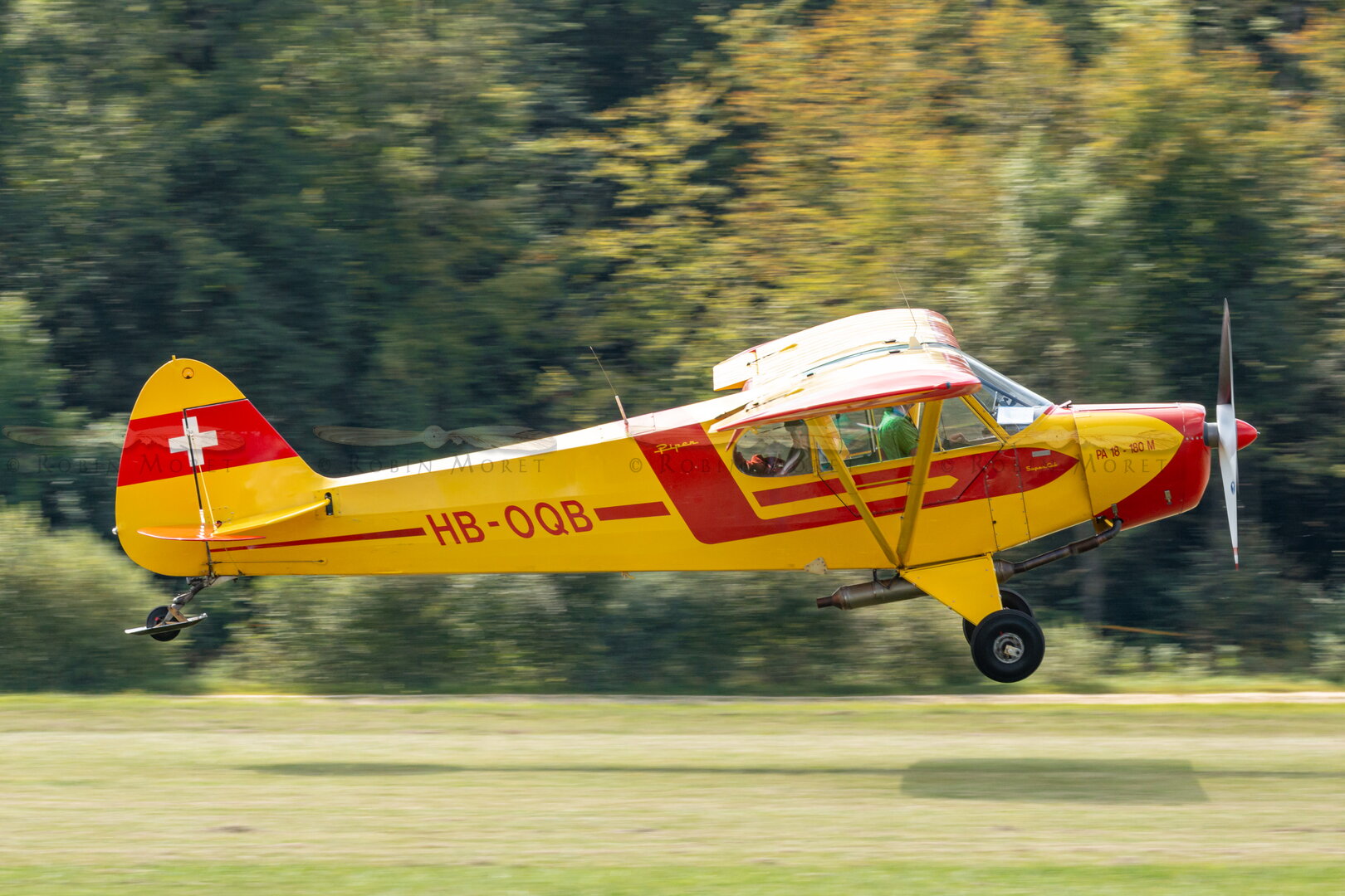 _MG_4309.jpg