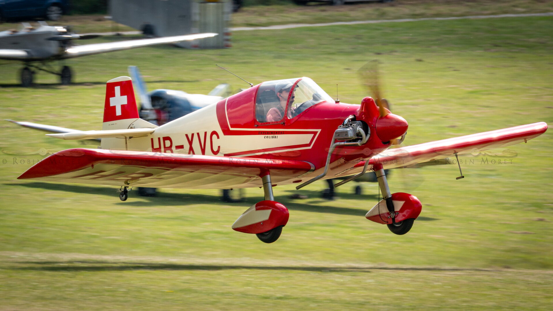 _MG_4328.jpg