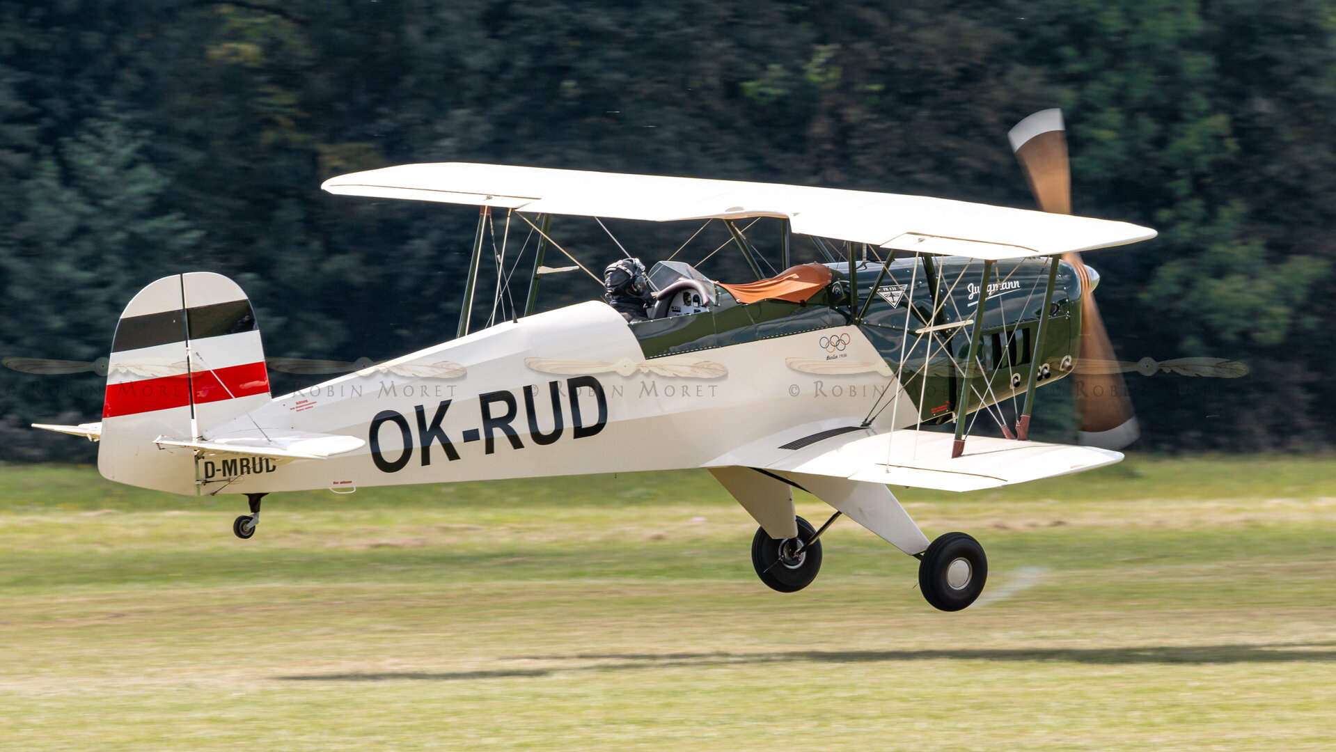 _MG_4391.jpg
